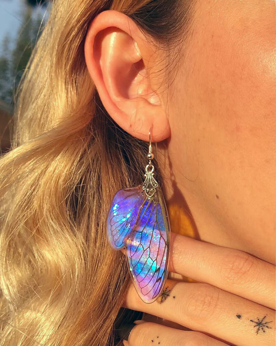 I Create Magical Pieces With Real Insect Wings To Give Them New Life I Create Magical Pieces With Real Insect Wings To Give Them New Life