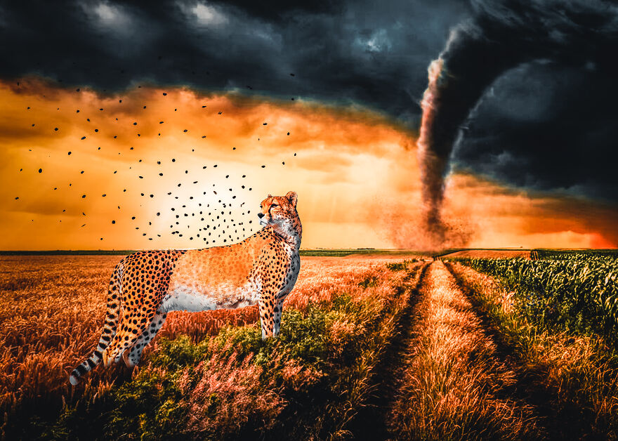 I Created 40 Surreal Art Pieces Trying To Better My Life