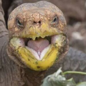 delivery-fabex avatar