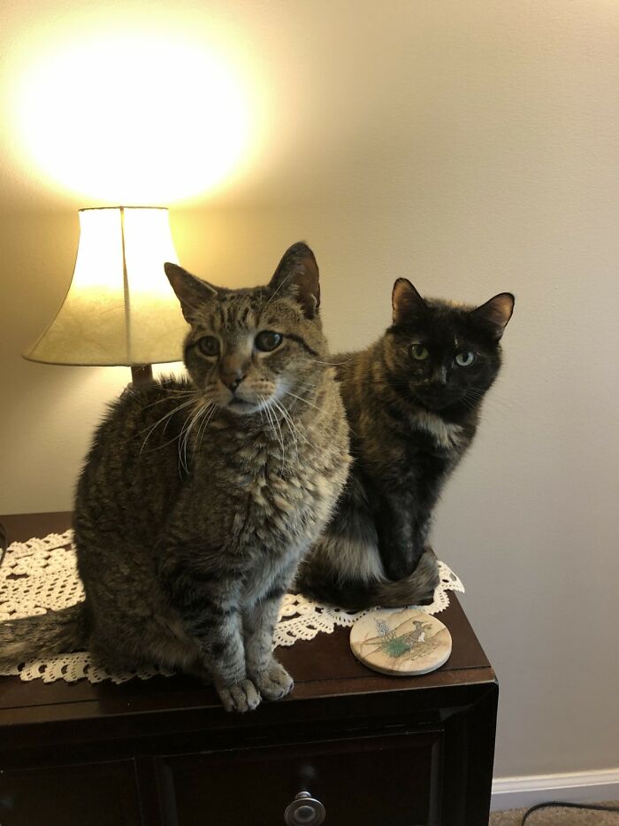 Old Man Moe And Miss Pepper