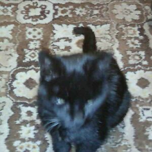 bridget_burrell avatar