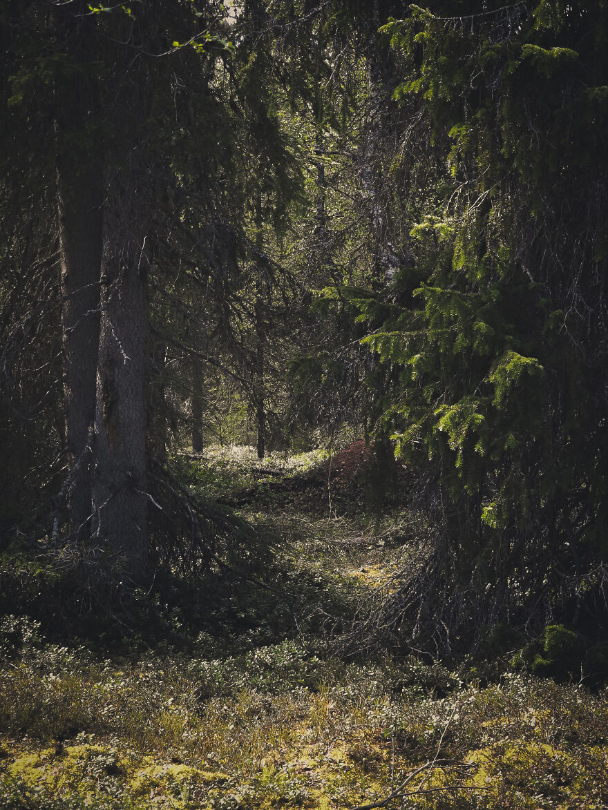 My Contribution To The "Liminal Spaces" Article