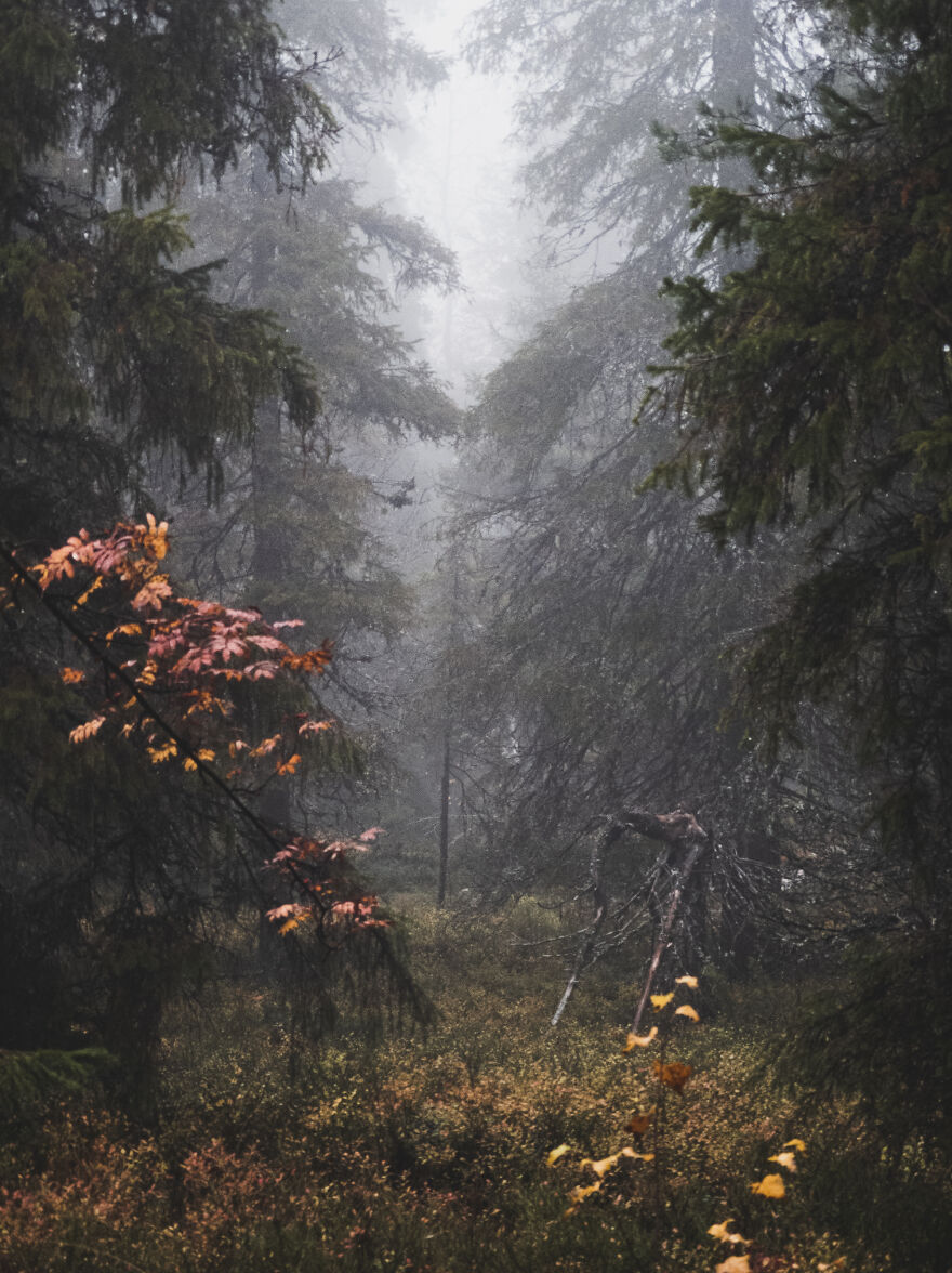 My Contribution To The "Liminal Spaces" Article