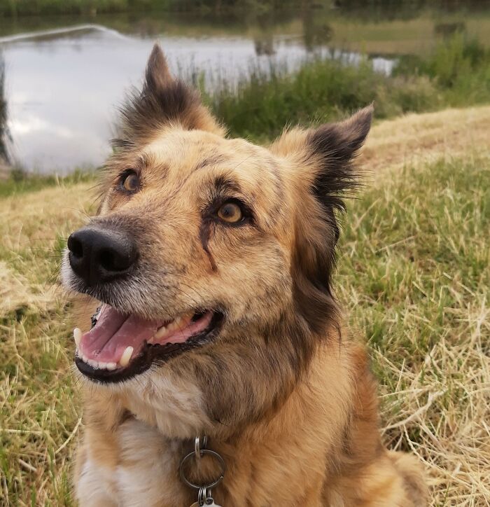 Apple - Had Her For Three Years, She's Living Her Best Life :)