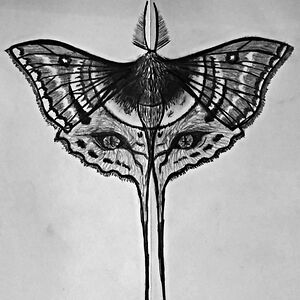 elzbieta-email avatar