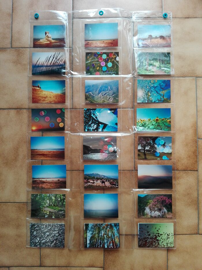 This! (The Pictures Are Mine)