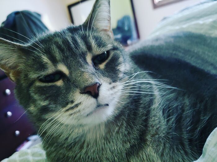 Wendy, Tink, And Pete