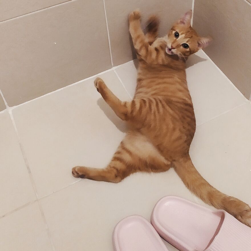 No Audience While Bathing, She Says.