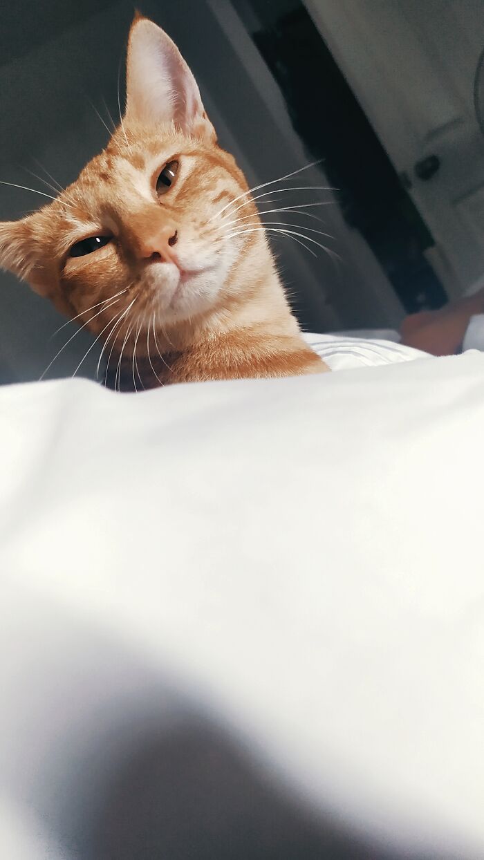 Found Her Beside The Fire Station When She Was A Week Old.