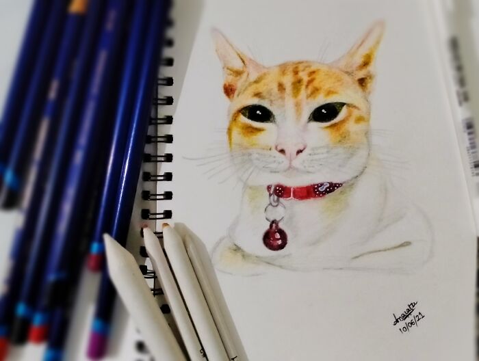 My Chubby Boku (Colour Pencils)