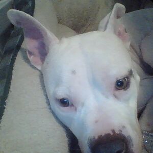 conwaymaliyah avatar