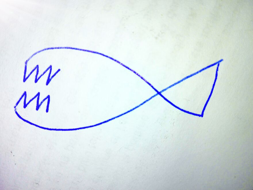 This Is Killian The Killer Whale