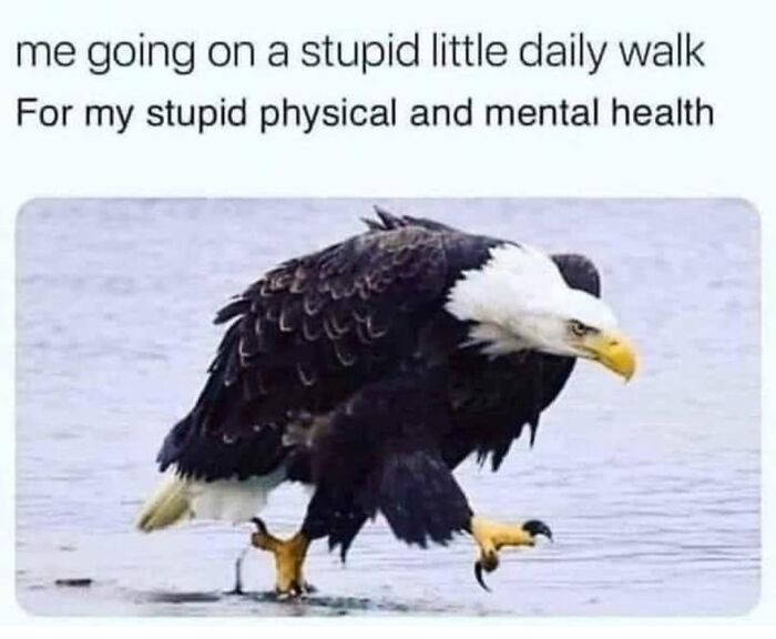 More Like For Not Doing It