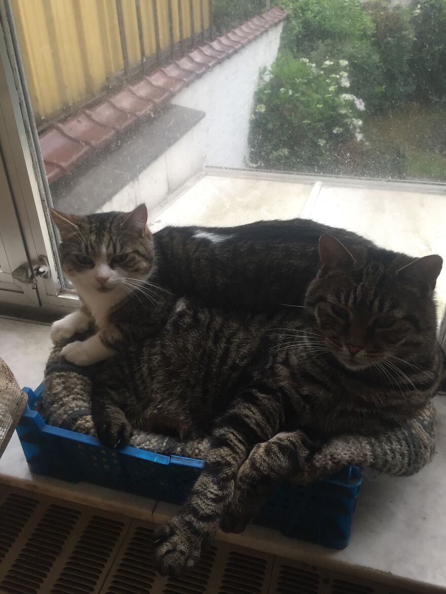 It's Not Even The Best Spot!