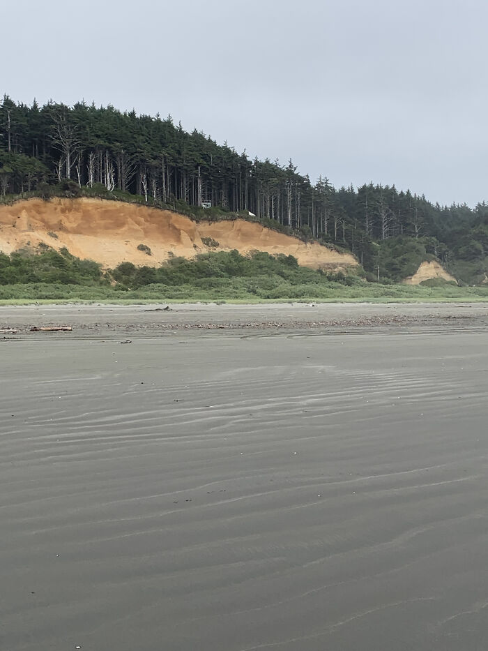 Summer In Northern Washington. This Is The Coast Along The Pacific Ocean.