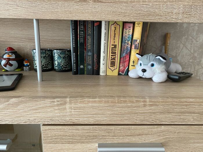 These Are Not My Books, They've Been Here Since We've Moved In Because They Belong To A Family Member, So We've Kept Them