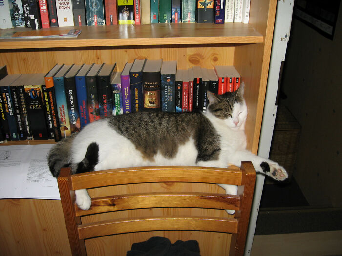 An Older Picture From The Time When There Weren't Only Books In My Shelves