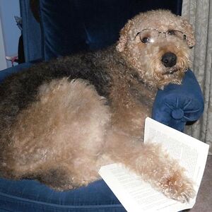 winterwalker01 avatar