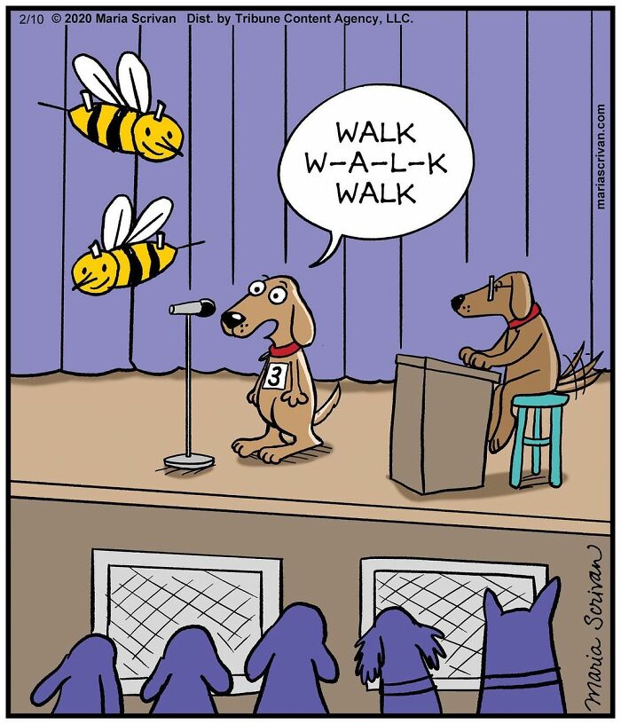 Maria Scrivan's Brilliant Comics Will Make You Smile Today