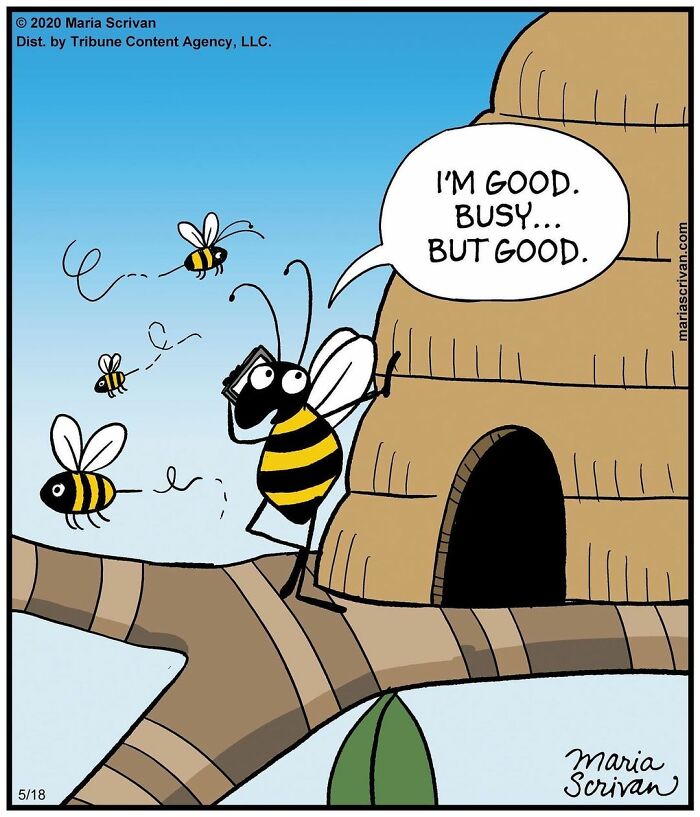 Maria Scrivan's Brilliant Comics Will Make You Smile Today