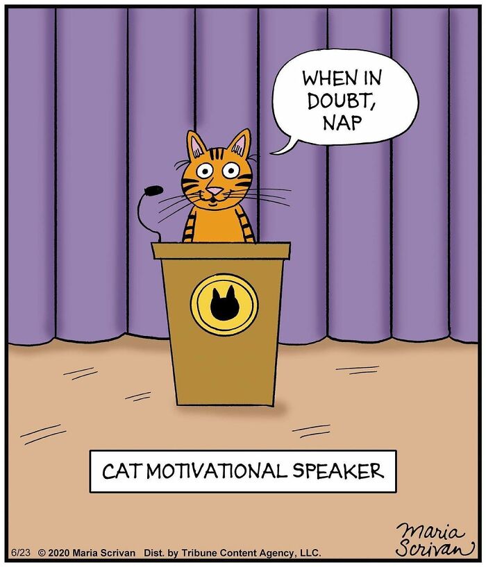 Maria Scrivan's Brilliant Comics Will Make You Smile Today