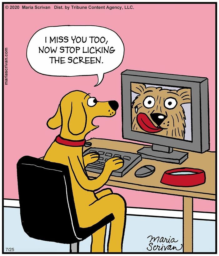 Maria Scrivan's Brilliant Comics Will Make You Smile Today