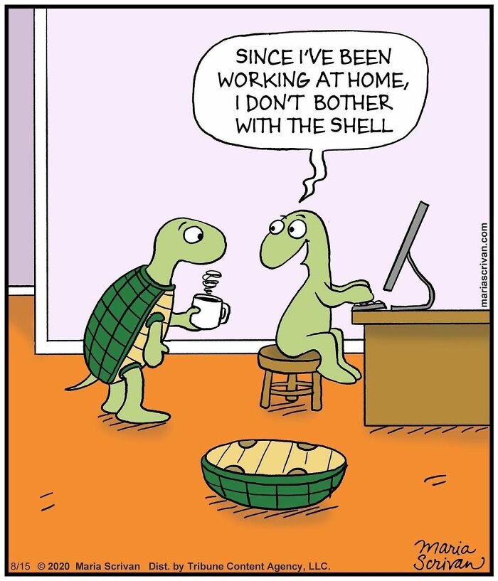 Maria Scrivan's Brilliant Comics Will Make You Smile Today