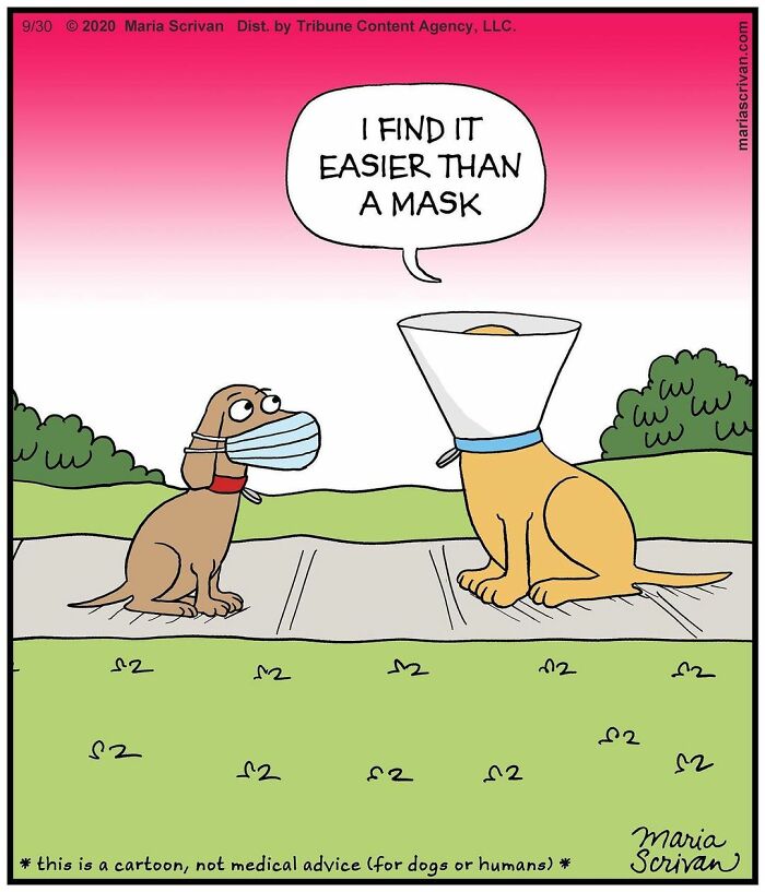 Maria Scrivan's Brilliant Comics Will Make You Smile Today