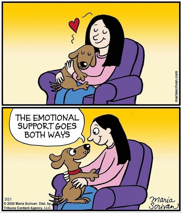 Maria Scrivan's Brilliant Comics Will Make You Smile Today