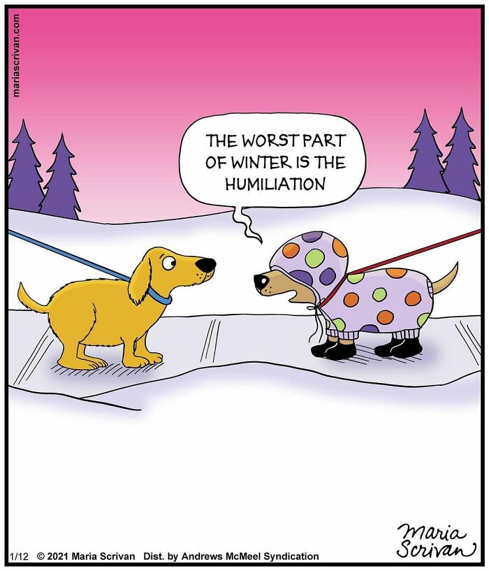 Maria Scrivan's Brilliant Comics Will Make You Smile Today