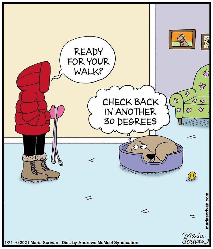 Maria Scrivan's Brilliant Comics Will Make You Smile Today