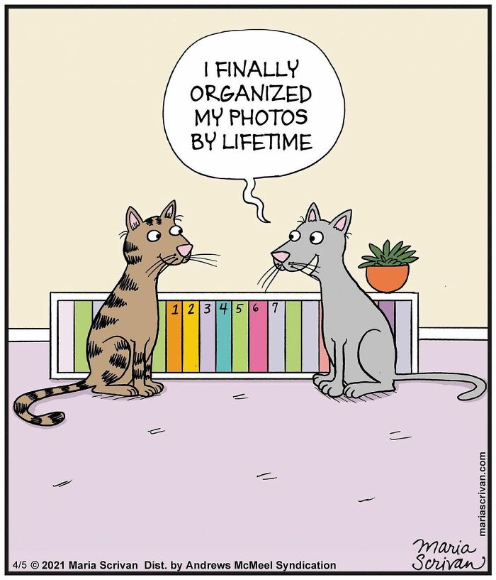 Maria Scrivan's Brilliant Comics Will Make You Smile Today