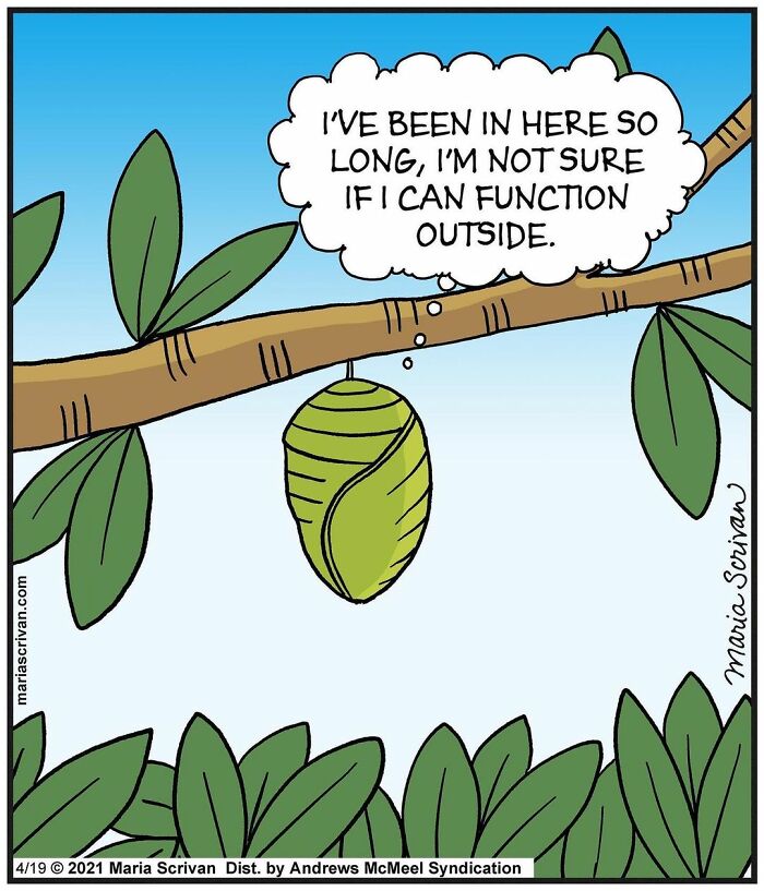 Maria Scrivan's Brilliant Comics Will Make You Smile Today