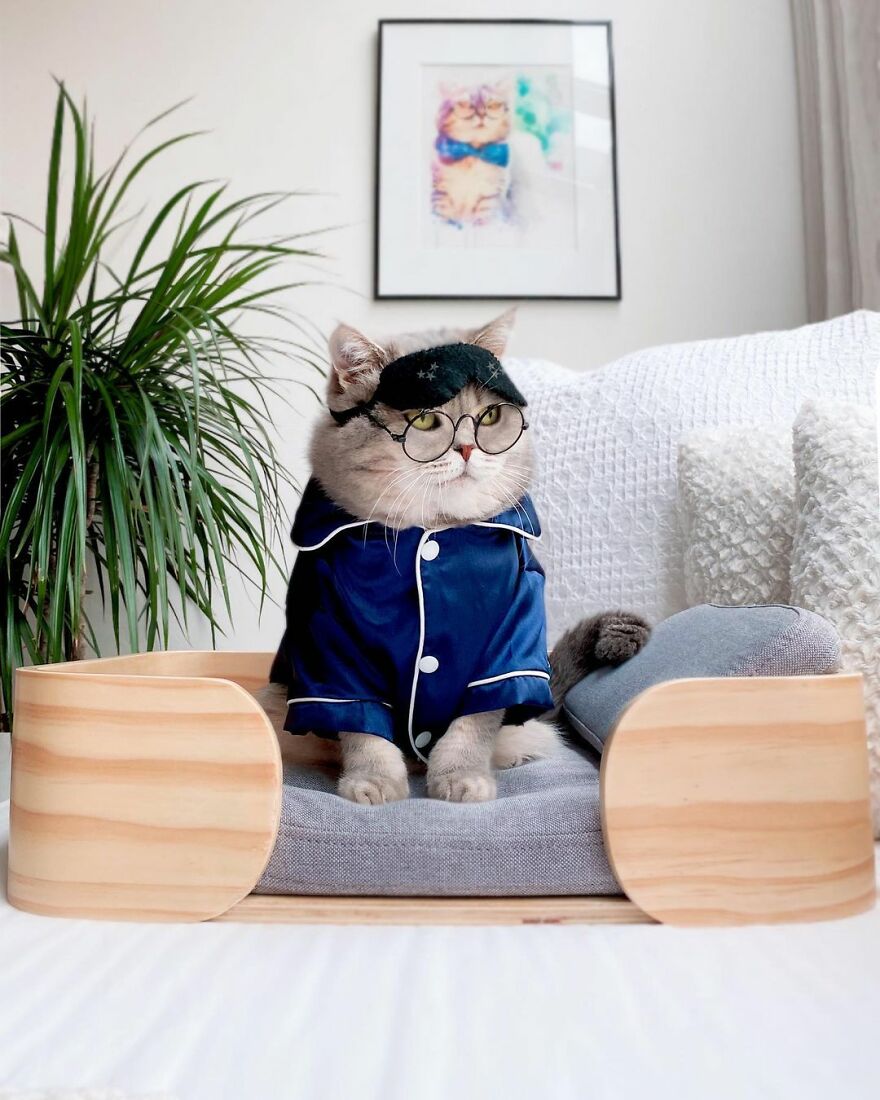 Meet Benson, The Kitten Abandoned By Its Former Owners And Now Adored By 170,000 Followers On Instagram