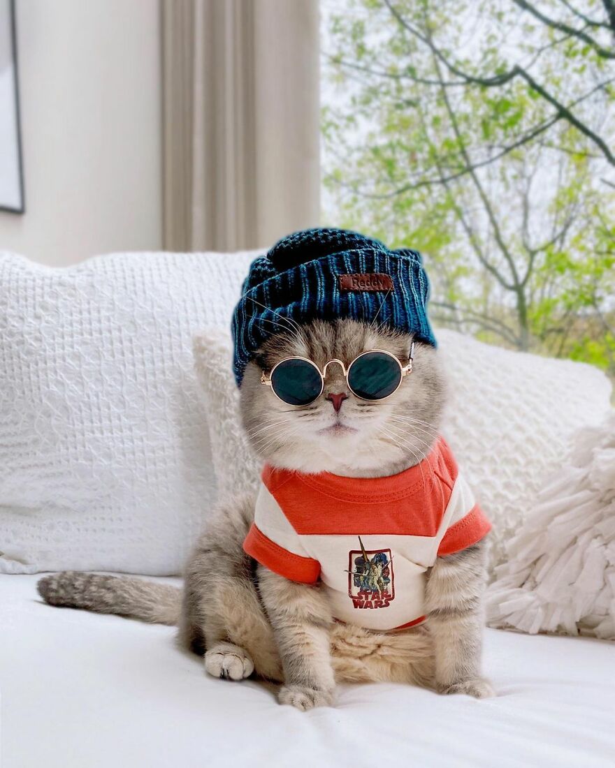 Meet Benson, The Kitten Abandoned By Its Former Owners And Now Adored By 170,000 Followers On Instagram