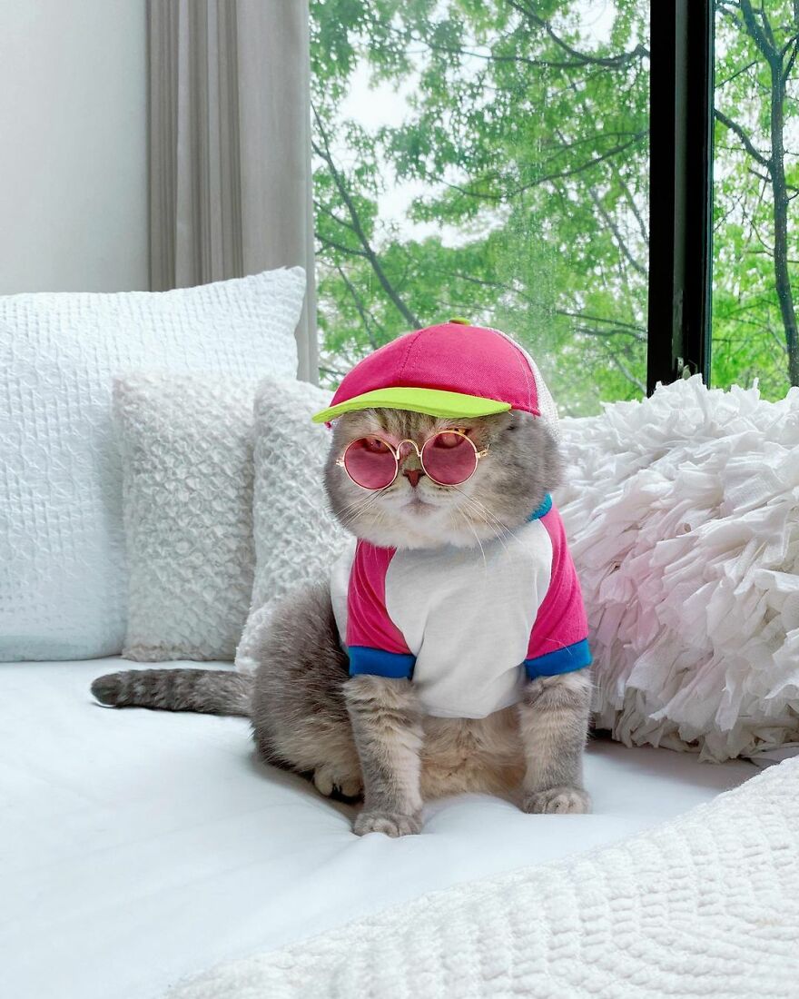 Meet Benson, The Kitten Abandoned By Its Former Owners And Now Adored By 170,000 Followers On Instagram