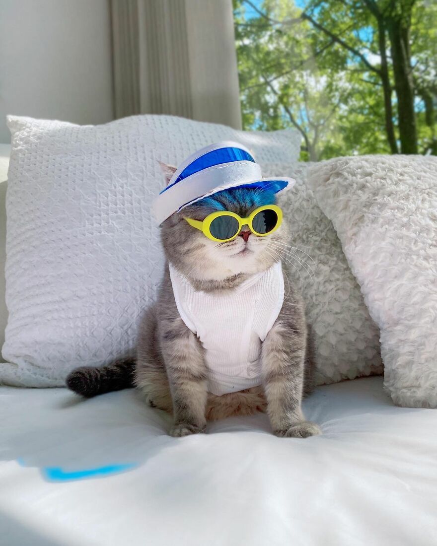 Meet Benson, The Kitten Abandoned By Its Former Owners And Now Adored By 170,000 Followers On Instagram