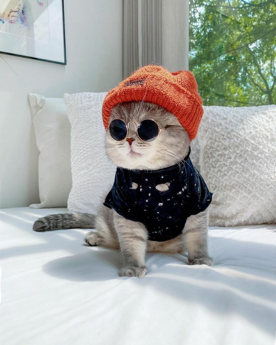 Meet Benson, The Kitten Abandoned By Its Former Owners And Now Adored By 170,000 Followers On Instagram