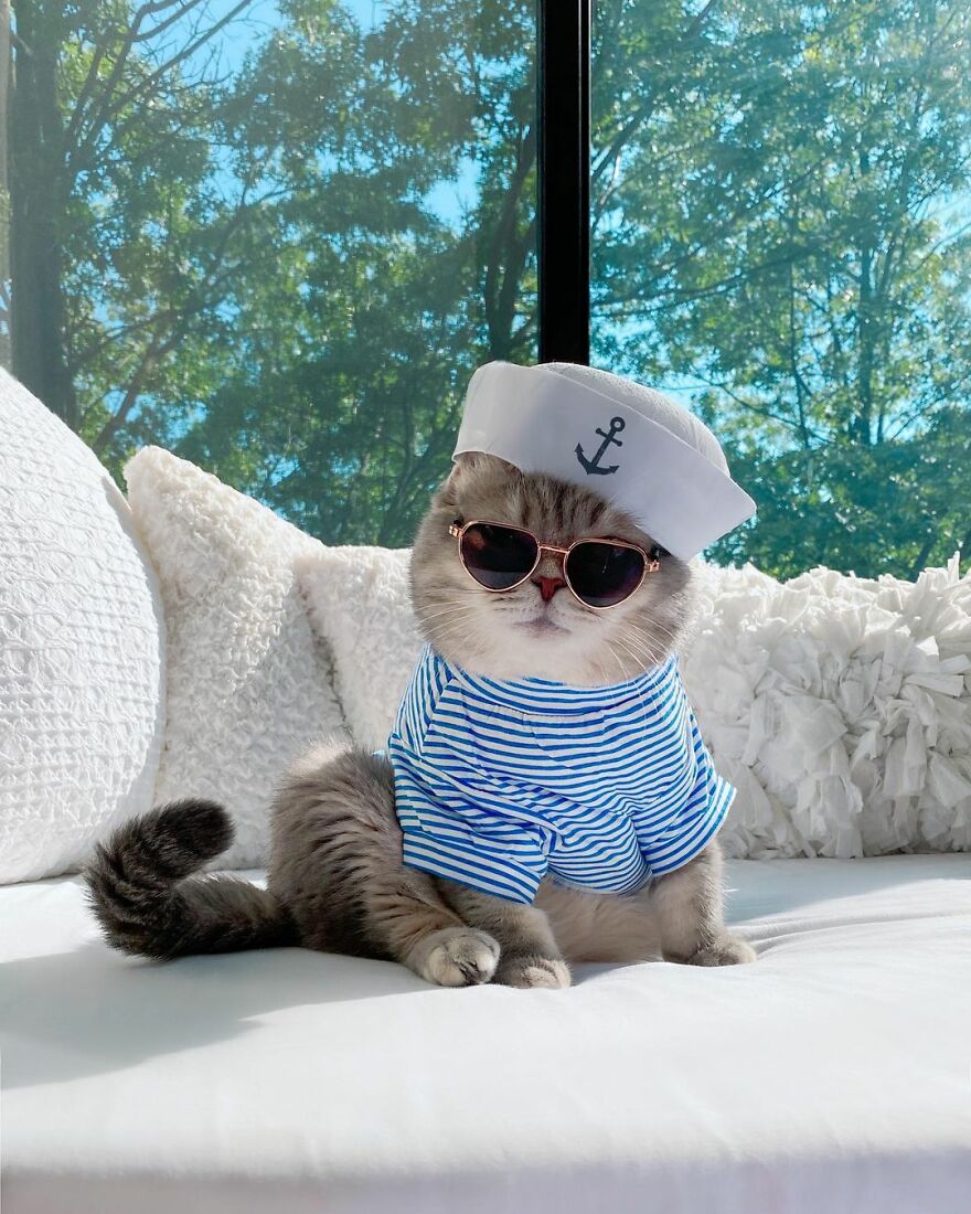 Meet Benson, The Kitten Abandoned By Its Former Owners And Now Adored By 170,000 Followers On Instagram