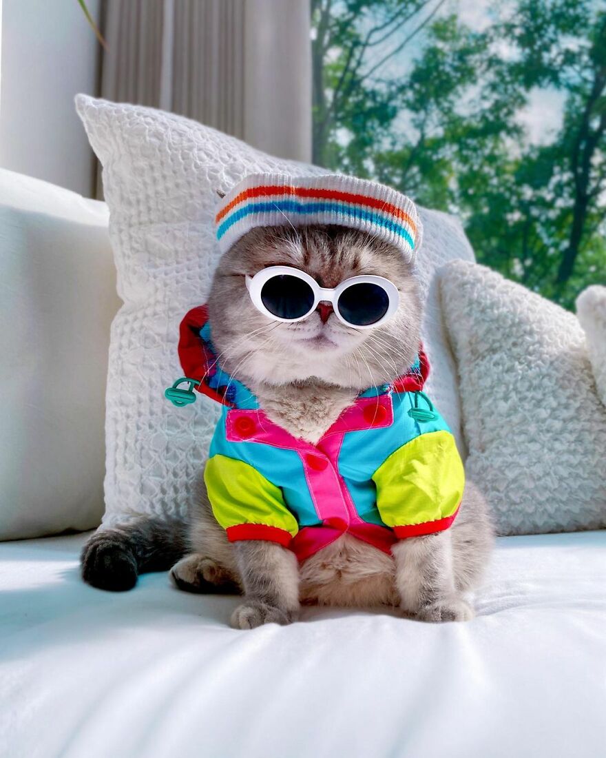 Meet Benson, The Kitten Abandoned By Its Former Owners And Now Adored By 170,000 Followers On Instagram