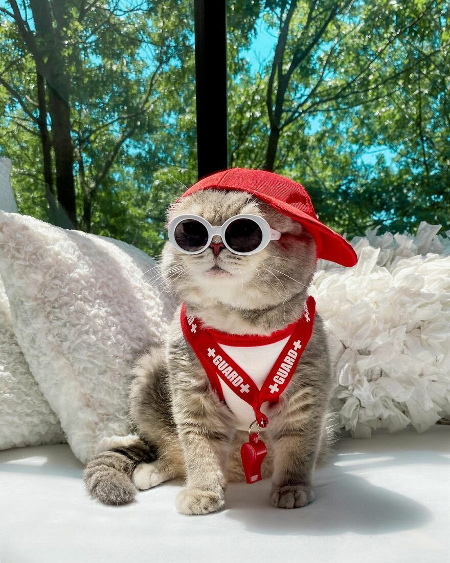 Meet Benson, The Kitten Abandoned By Its Former Owners And Now Adored By 170,000 Followers On Instagram