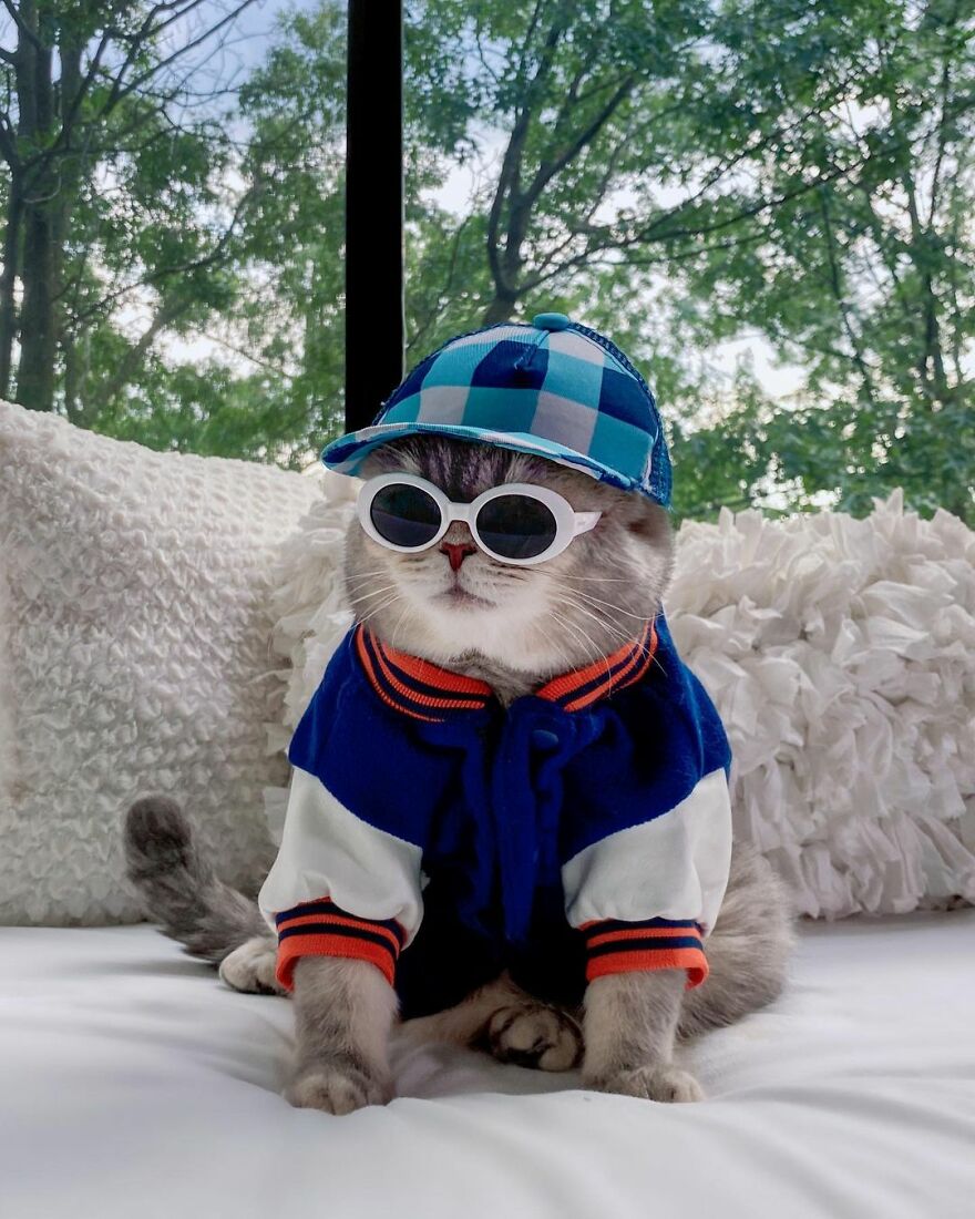 Meet Benson, The Kitten Abandoned By Its Former Owners And Now Adored By 170,000 Followers On Instagram