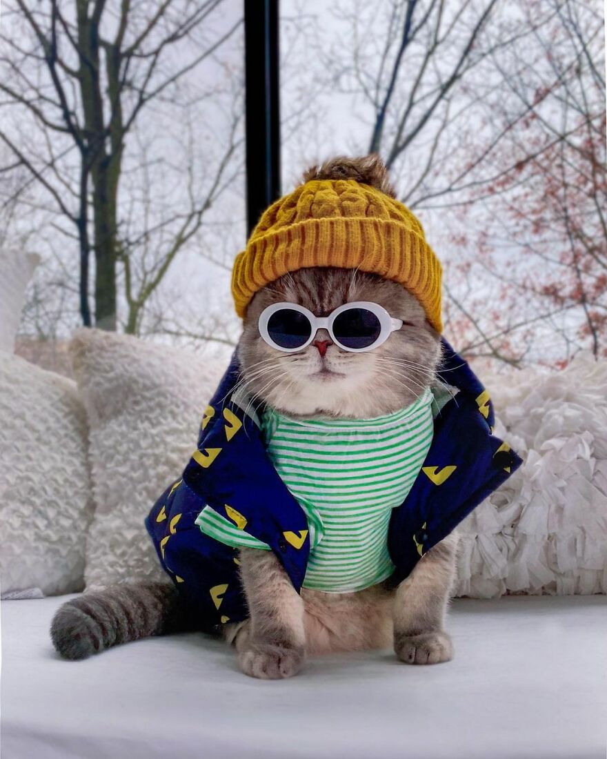 Meet Benson, The Kitten Abandoned By Its Former Owners And Now Adored By 170,000 Followers On Instagram