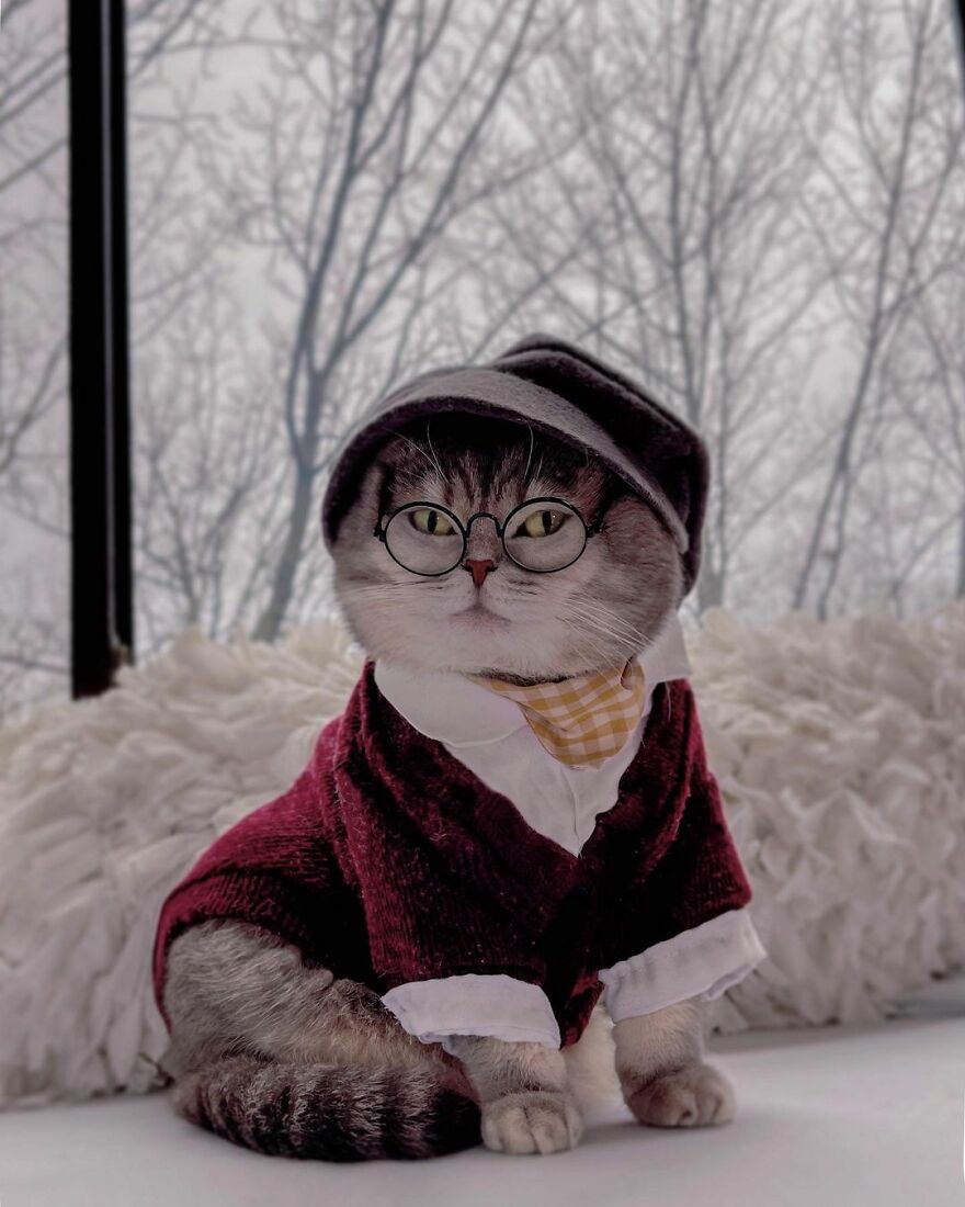 Meet Benson, The Kitten Abandoned By Its Former Owners And Now Adored By 170,000 Followers On Instagram