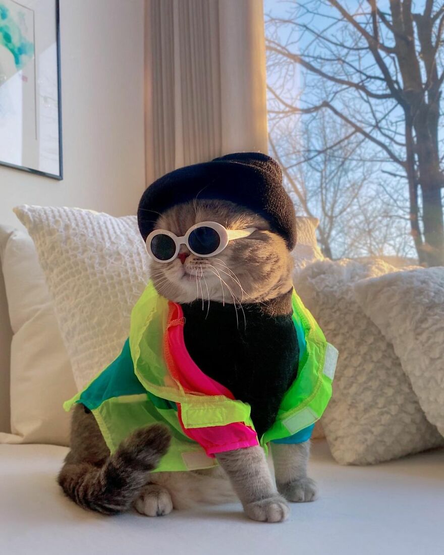 Meet Benson, The Kitten Abandoned By Its Former Owners And Now Adored By 170,000 Followers On Instagram