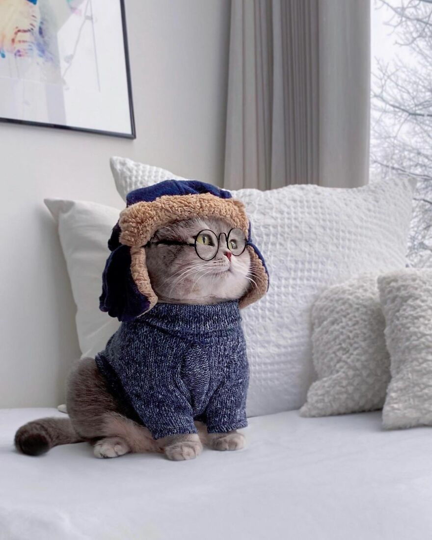 Meet Benson, The Kitten Abandoned By Its Former Owners And Now Adored By 170,000 Followers On Instagram