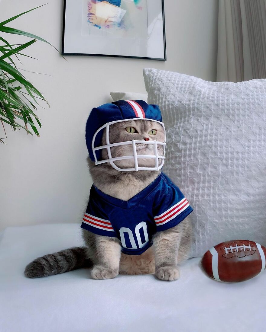 Meet Benson, The Kitten Abandoned By Its Former Owners And Now Adored By 170,000 Followers On Instagram