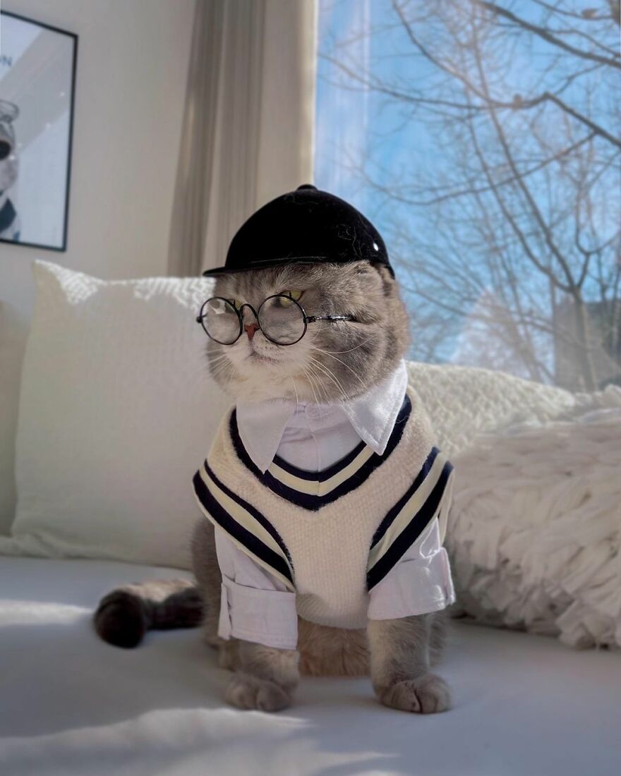 Meet Benson, The Kitten Abandoned By Its Former Owners And Now Adored By 170,000 Followers On Instagram