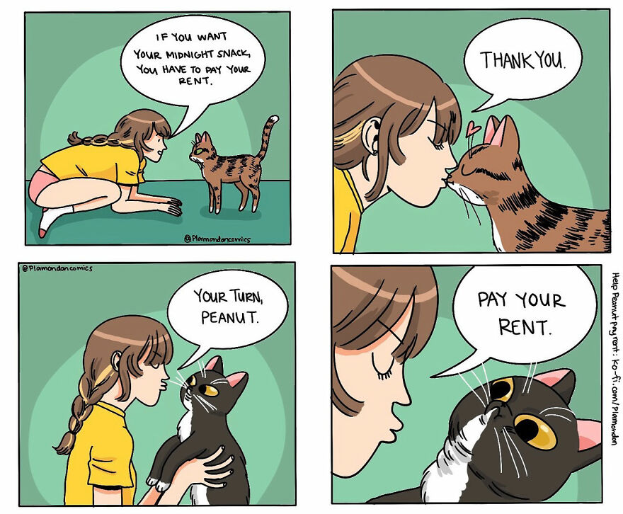 Meet Out Plamondon's Hilarious Comics