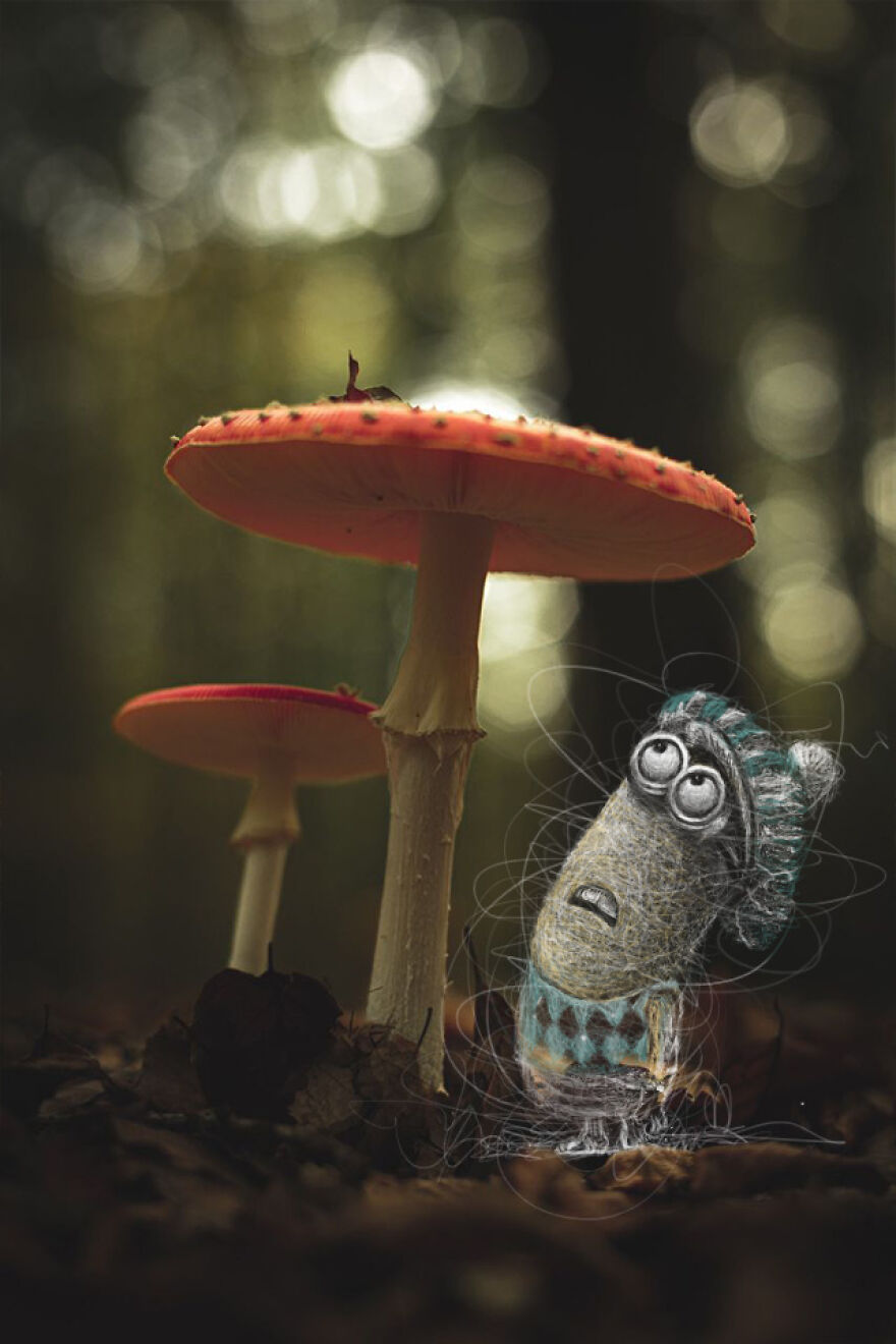 My Illustrations Of Animals And Cute Things In The Forest